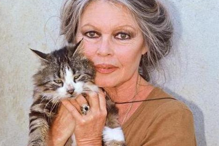 Meglett Brigitte Bardot macskája
