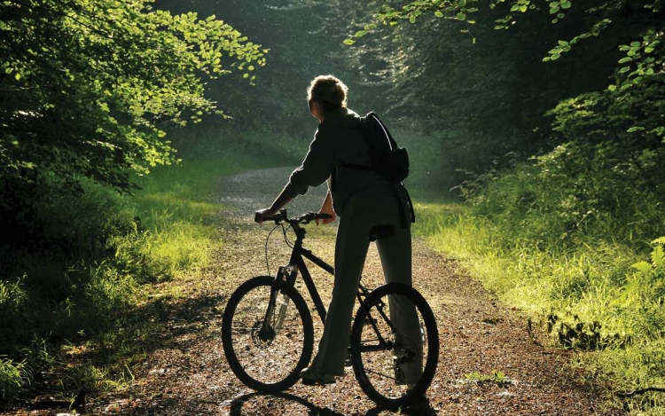 Felújított erdei kerékpározható úthálózat Szentendrén
