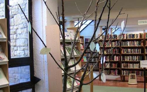 Az olvasás fája a Könyvtárban - Játék