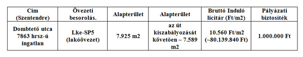 Szentendrei önkormányzat pályázati felhívás