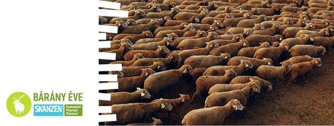 Elfeledett pásztorhagyományok és Pünkösdi Sokadalom a Skanzenben