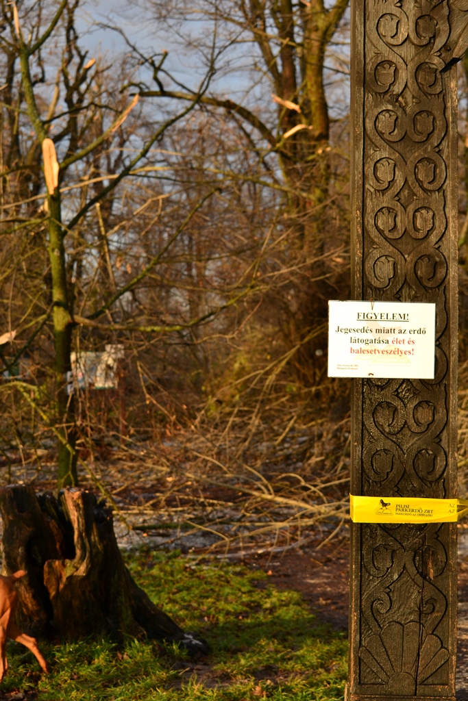 Hétvégére is érvényben marad a látogatási tilalom a Pilisi Parkerdő Zrt. területén