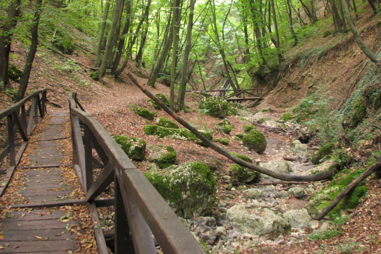 Hídfelújítás miatt ideiglenesen módosul az OKT útvonala