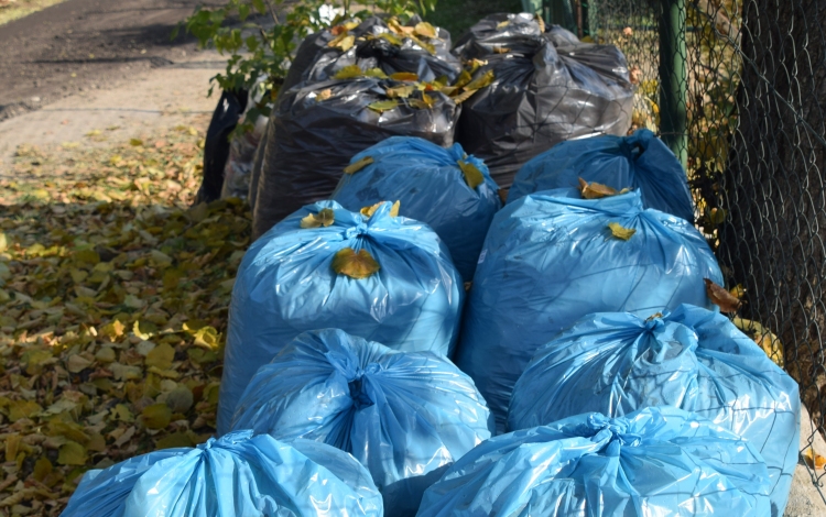 Szelektív hulladékgyűjtés Budakalászon