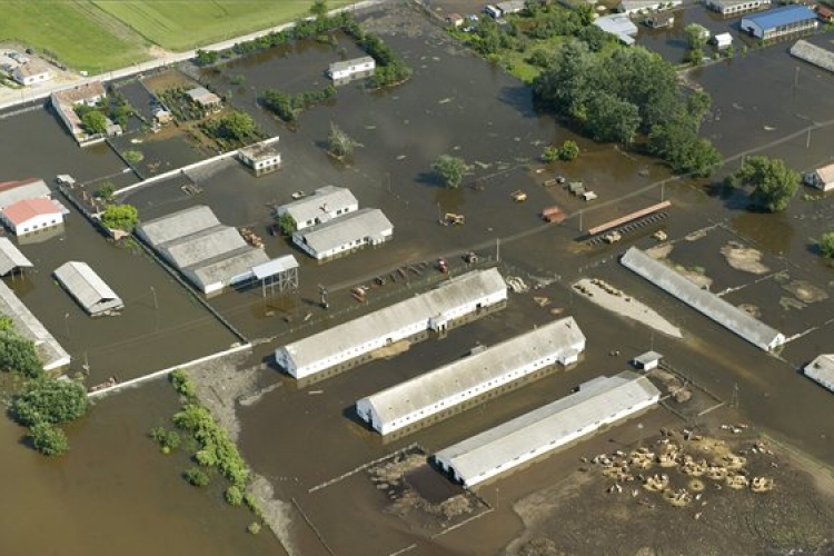 Elképesztő károk - 2,3 milliárd forint a termelők kára az árvíz miatt