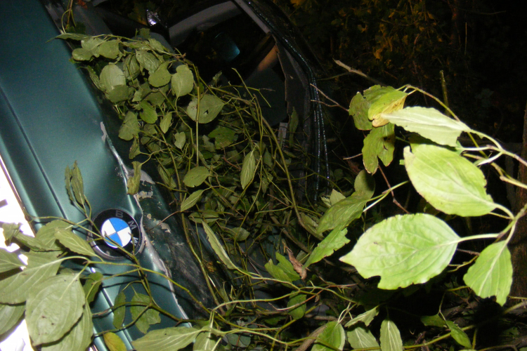 Baleset Pilisszentkereszten