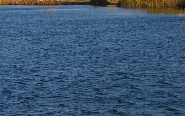 Fiatal fiú fulladt az Omszki tóba
