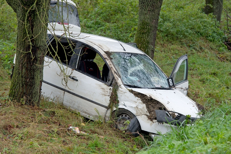 Meghalt egy fának ütköző autó utasa Pomáznál