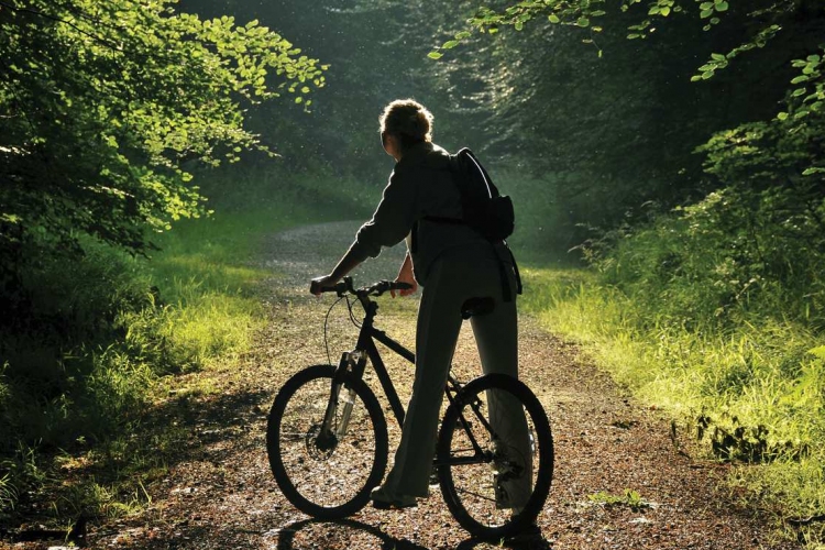 Felújított erdei kerékpározható úthálózat Szentendrén