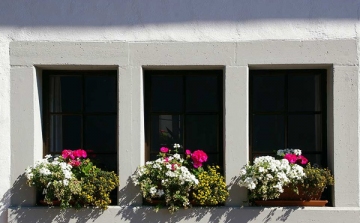 Virágoskert, virágos erkély, virágos ablak pályázat Szentendrén