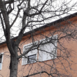 Eladó ingatlan tulajdonostól - Mosonmagyaróvár