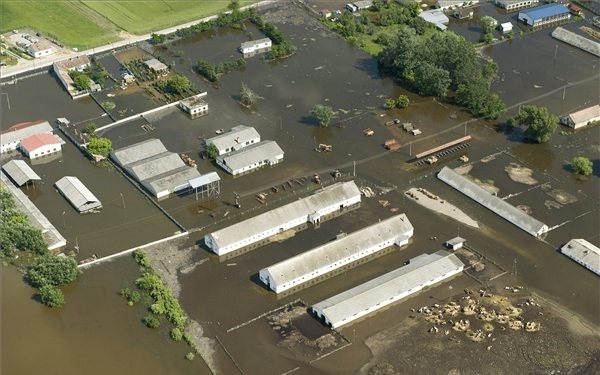 Elképesztő károk - 2,3 milliárd forint a termelők kára az árvíz miatt