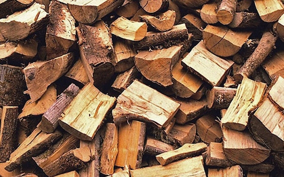 Engedély nélküli tűzifa-árusok Szentendrén