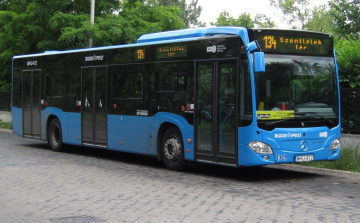 Terelve jár a 134-es és a 923-as busz egy hónapig