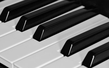 Zongoratanárt keresnek Budakalászra