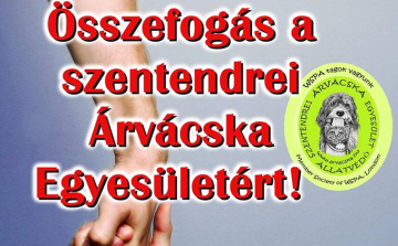 Összefogás a Szentendrei Árvácska Egyesületért! – Segítsünk!