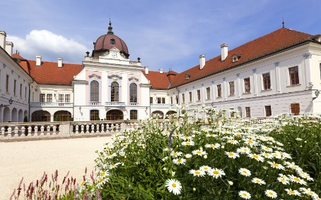 Gödöllőt szépíti a Jánosik Kft.