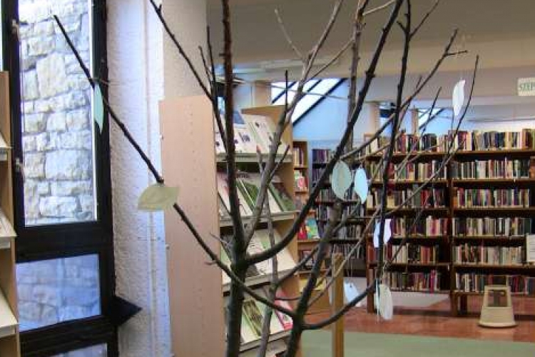 Az olvasás fája a Könyvtárban - Játék