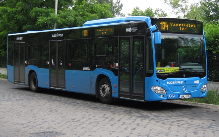 Terelve jár a 134-es és a 923-as busz egy hónapig