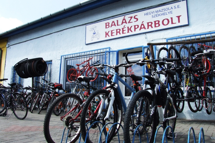 Különleges javítás és szakértelem – kerékpár, sí bolt és szerviz Szentendrén