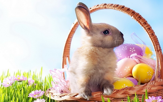 Nyúl, bárány, tojás, locsolás – A húsvéti szimbólumok jelentése