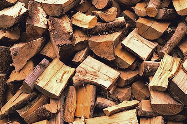 Engedély nélküli tűzifa-árusok Szentendrén