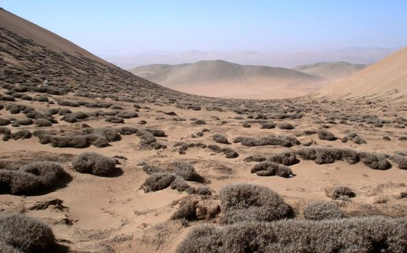 Felderítették az Atacama-sivatag ködének 3500 éves történetét