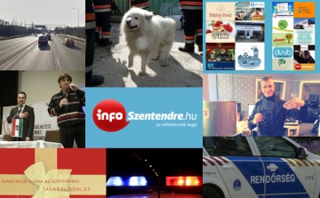 Elveszett tűzoltó-kutya, kampány, szigorúbb rendőrök – Heti hírek