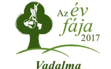 A VADALMA A 2017-ES ÉV FÁJA