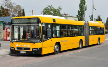 Autóbusz-vezetőt keresnek a szentendrei vonalra is