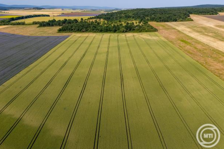 Agrometeorológia: országszerte mérséklődött az aszály, nagy területen meg is szűnt