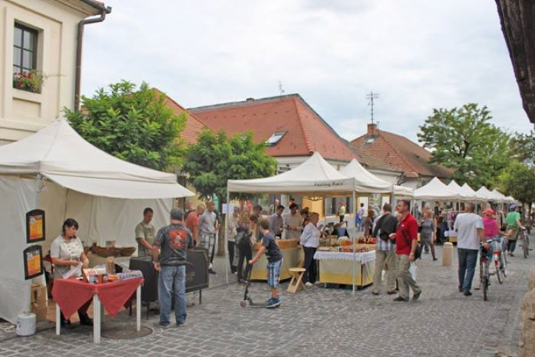 Fűben-fában orvosság a Dumtsa Korzón