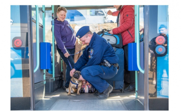 Több mint 12 ezren érkeztek csütörtökön Ukrajnából