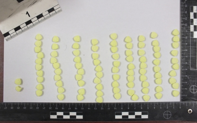 92 tabletta, fehér por és szárított növény egy 17 éves fiú hátizsákjában