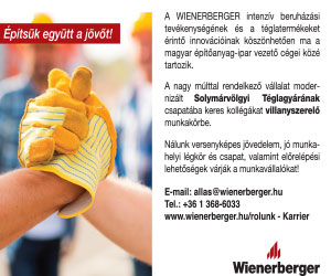 001-wienerberger-300x250